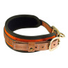 collier chien de sang Orange - Niggeloh