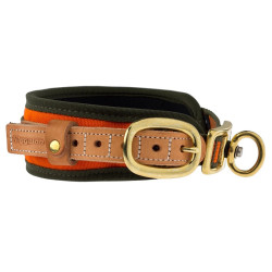 collier chien de sang Orange - Niggeloh