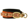 collier chien de sang Orange - Niggeloh