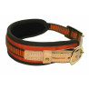 collier chien de sang Orange - Niggeloh