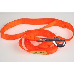 Laisse NYLON  FLUO Orange