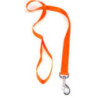 Laisse NYLON  FLUO Orange