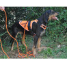 Longe ronde X-TREME orange 10 m canihunt