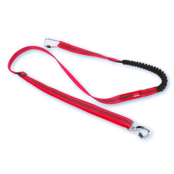 Laisse de jogging / VTT