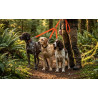 laisse triple nylon orange jokidog