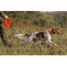 Longe Jokidog ronde 6 mm