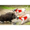 Gilet pour chien CaniHunt Protect ECO Orange