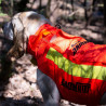 Gilet pour chien CANIHUNT DOG ARMOR V3 Orange