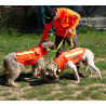 Gilet pour chien CANIHUNT DOG ARMOR V3 Orange