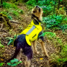 Gilet de protection CaniHunt PROTECT PRO CANO Jaune