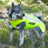 Gilet de protection CaniHunt PROTECT PRO CANO Jaune
