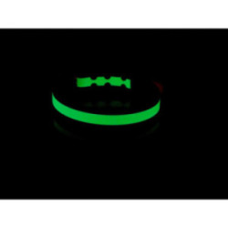 Collier biothane phosphorescent 25 mm