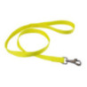 laisse plate poly jokidog