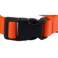 Collier nylon orange 25 mm - jokidog