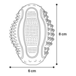 jouet ruffus Dental bouncer 8 cm vert