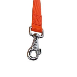 accouple 4 chiens nylon orange jokidog