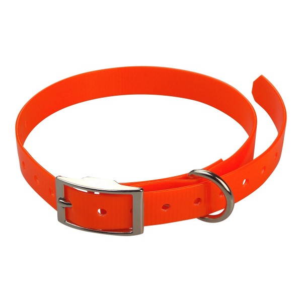 Collier chien de chasse : accessoires personnalisés - FARENC FABRICANT