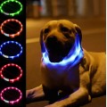 Collier LED étanche réglable multicolore